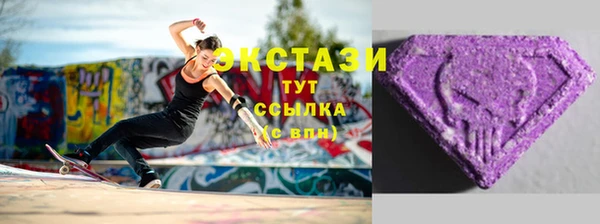 МДПВ Бородино