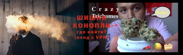 МДПВ Бородино