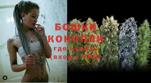 МДПВ Бородино