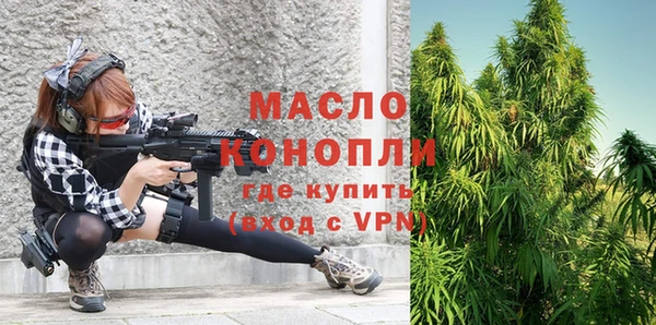 МДПВ Бородино
