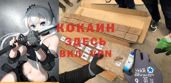 МДПВ Бородино