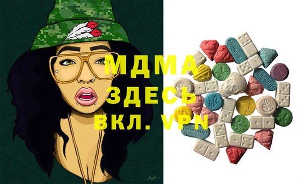 МДПВ Бородино