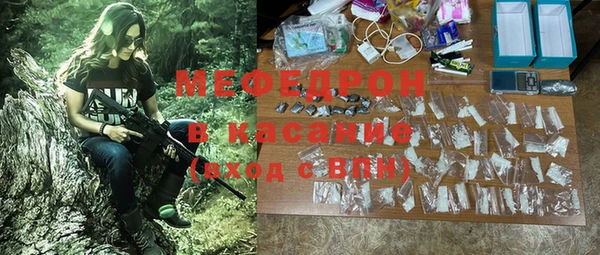 МДПВ Бородино