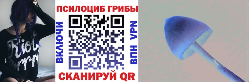 Псилоцибиновые грибы MAGIC MUSHROOMS  где продают наркотики  Каменск-Уральский 