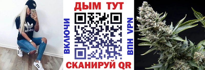 Конопля Bruce Banner  маркетплейс какой сайт  Каменск-Уральский 